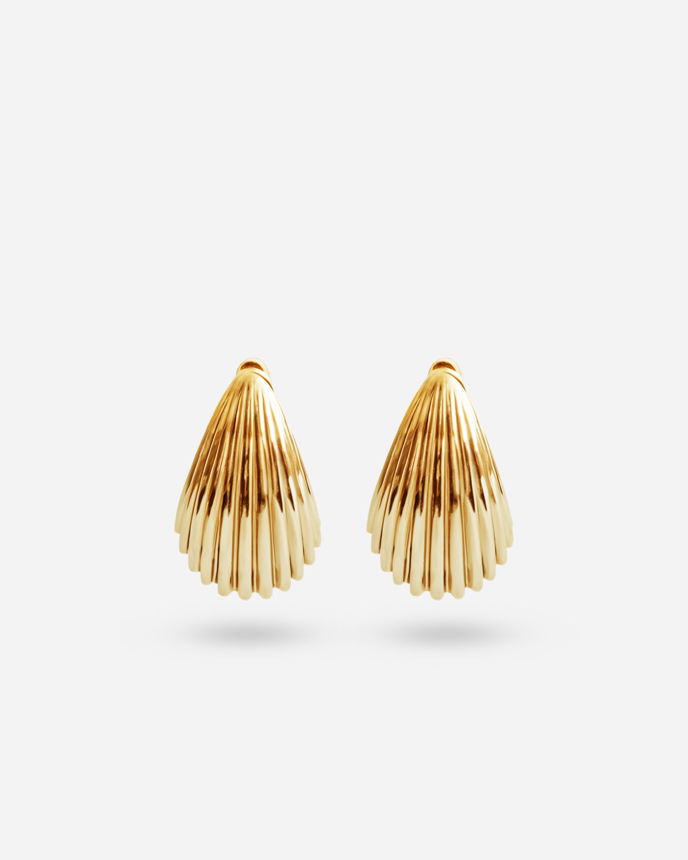 Shell Earrings