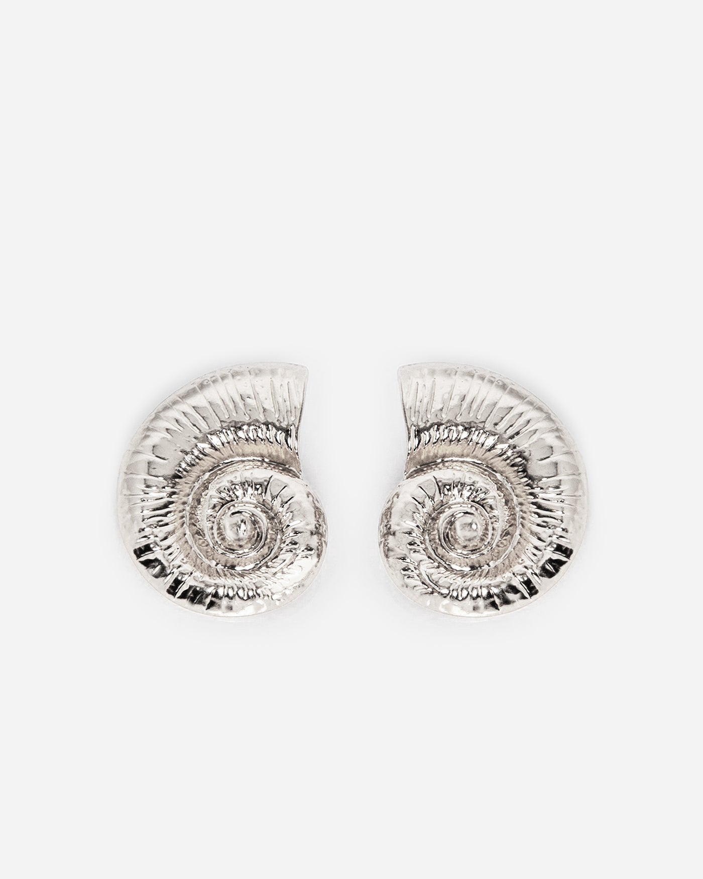 Seashell earrings