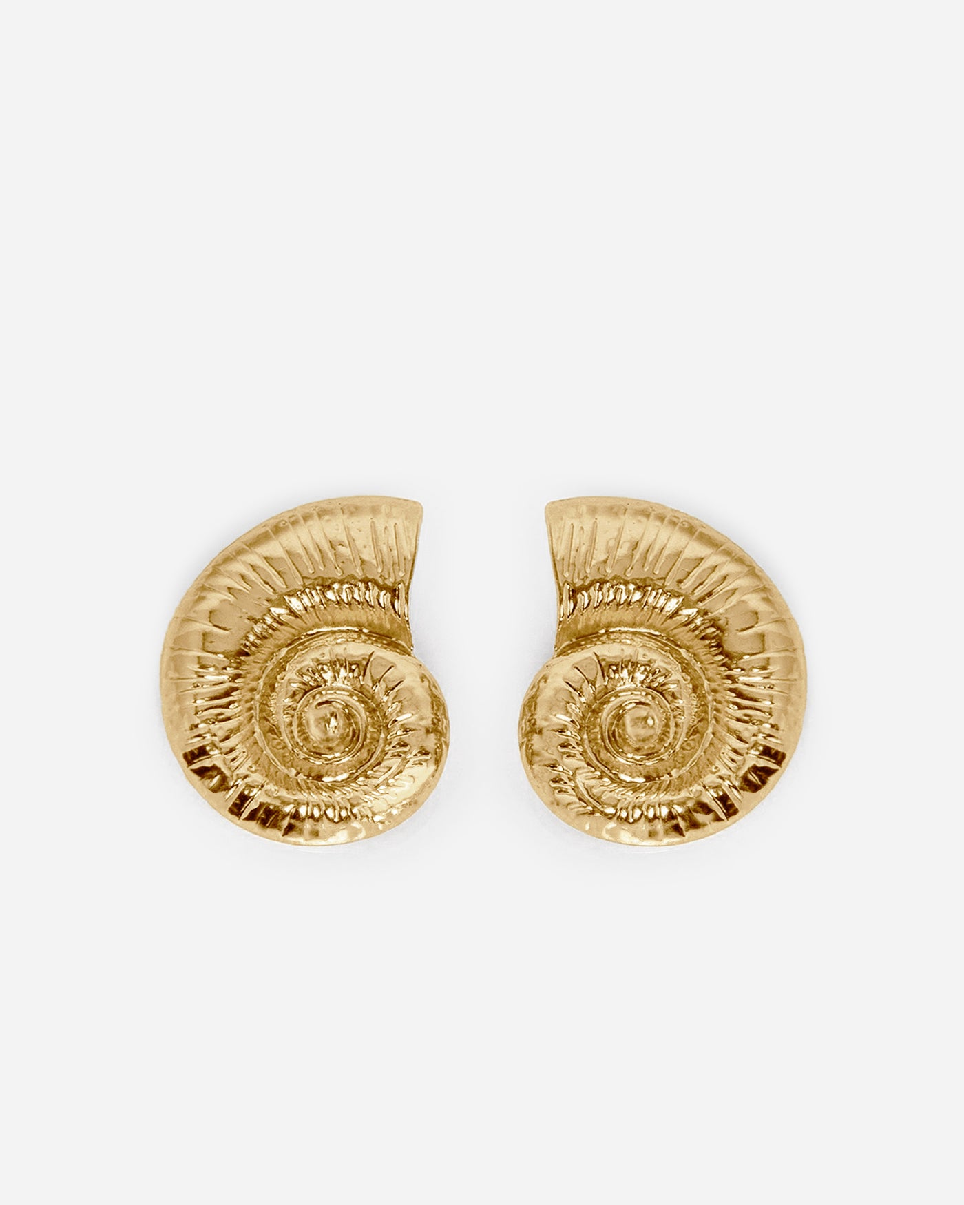Seashell earrings