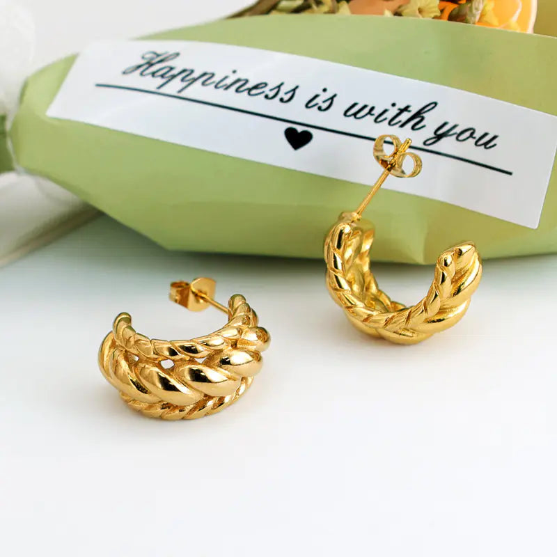 U-Shaped Earrings
