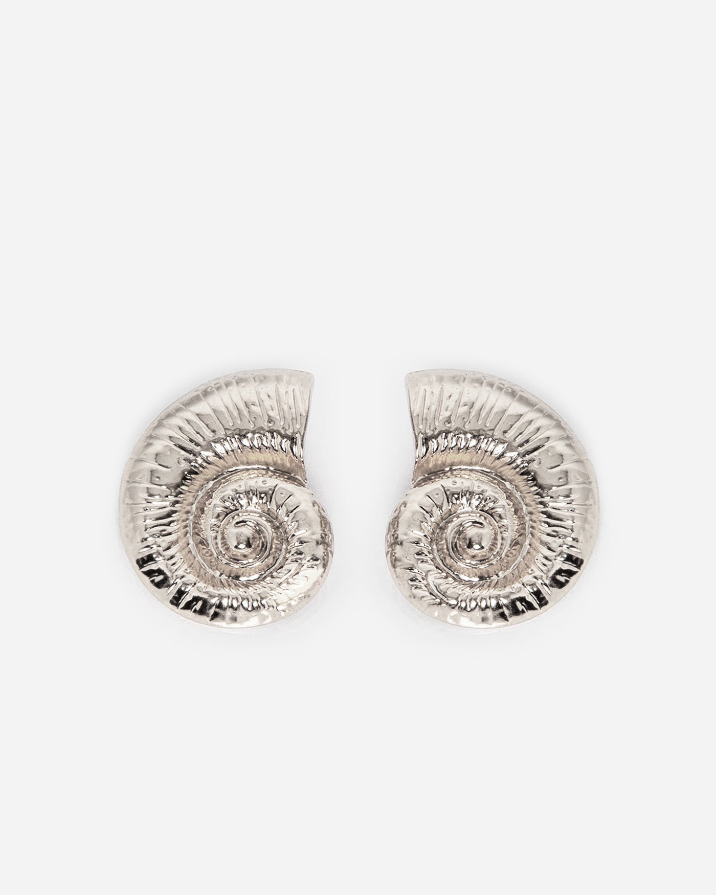 Seashell earrings