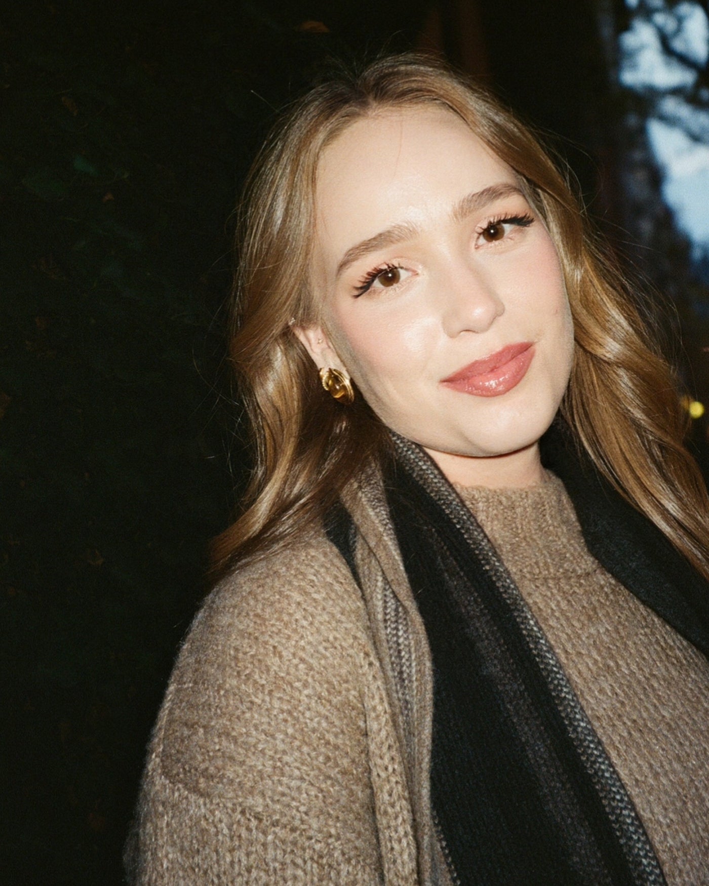 Tiger Eye Drop Earrings